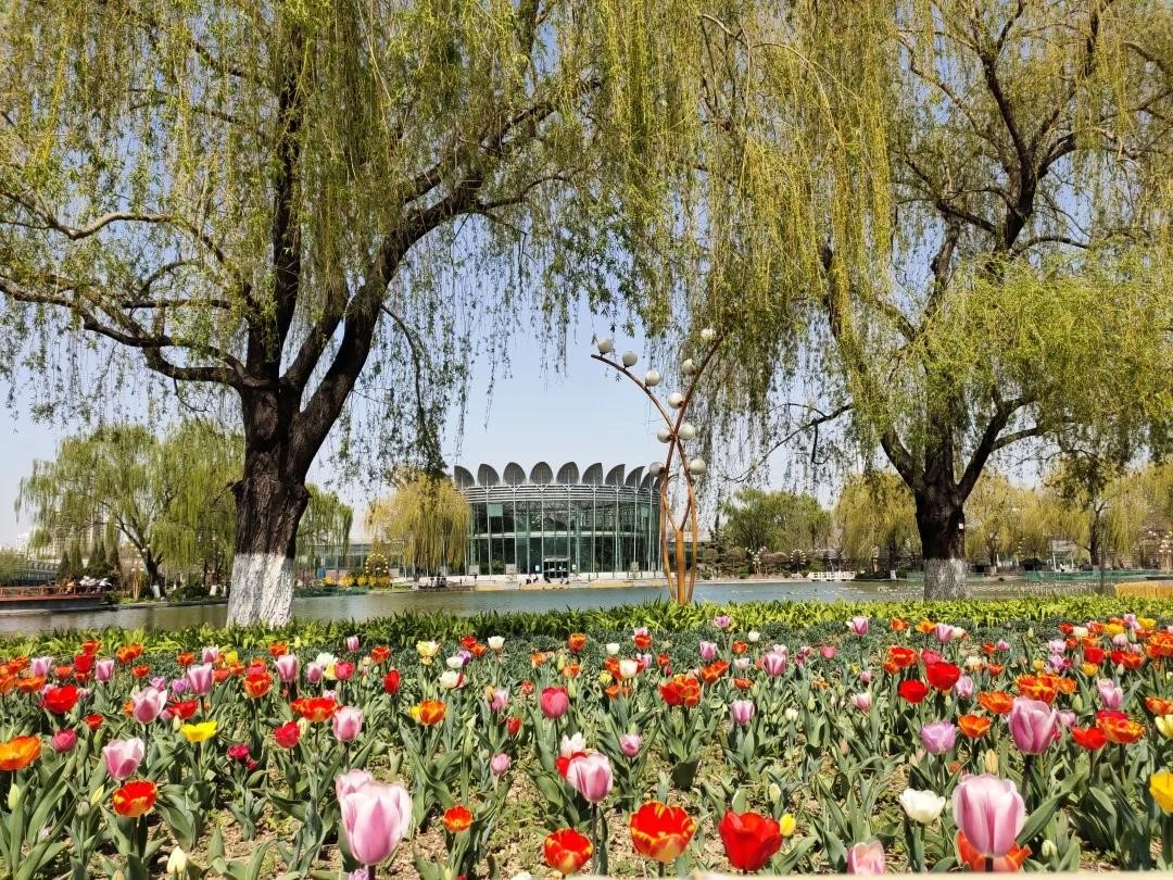 北京世界花卉大观园，揽天下奇花异草，聚世界经典园林