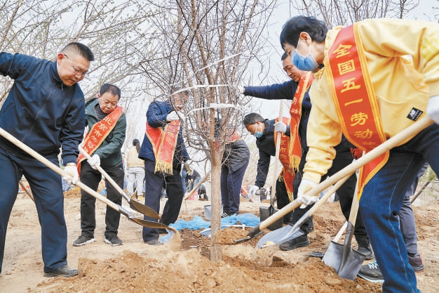157万市民植树播绿美化家园