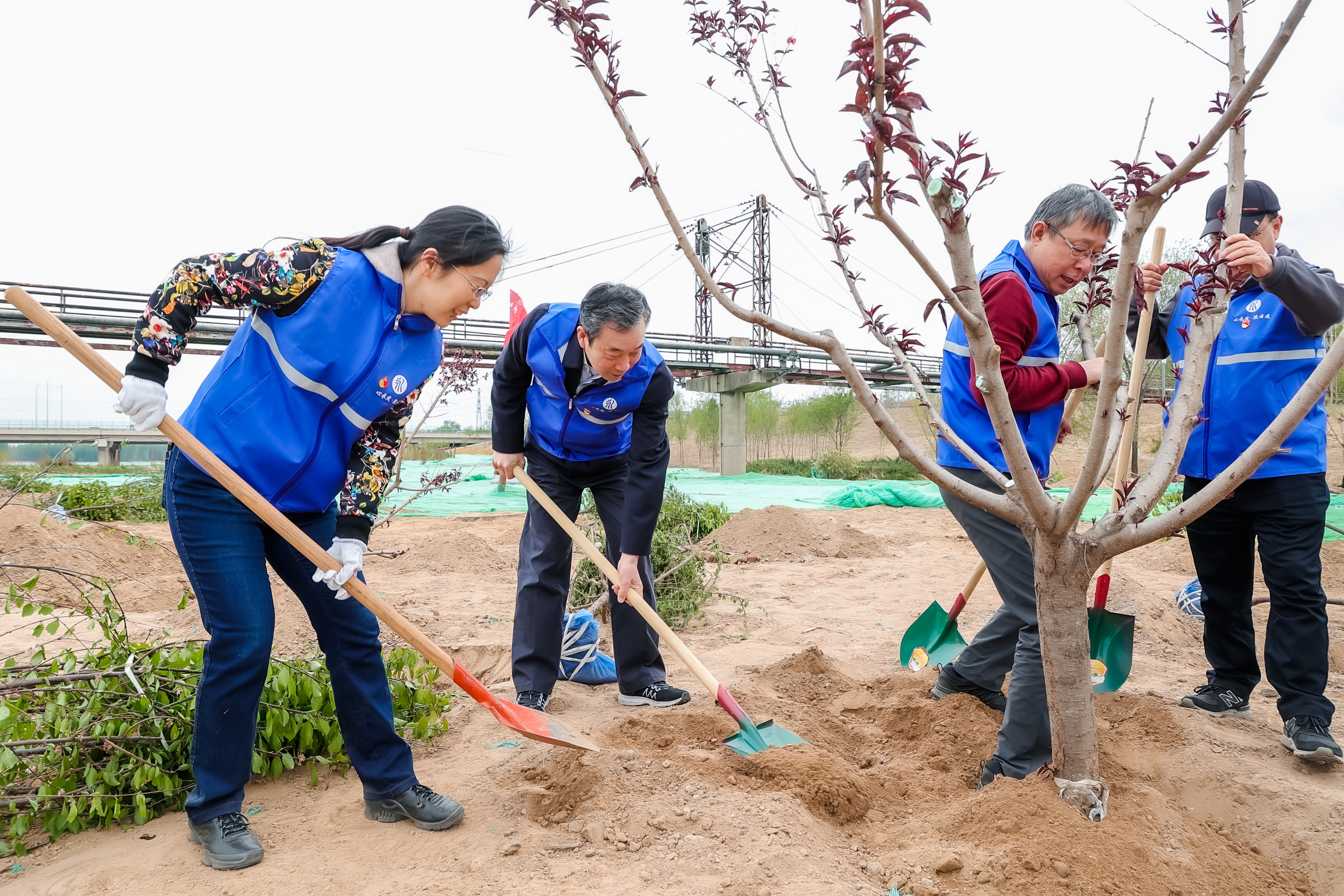 活动参与者在北京市房山区永定河中堤携手植树