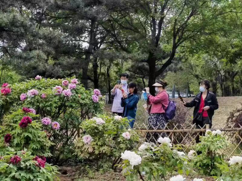 “五一”假期首日北京市属公园多项措施服务保障游客游园