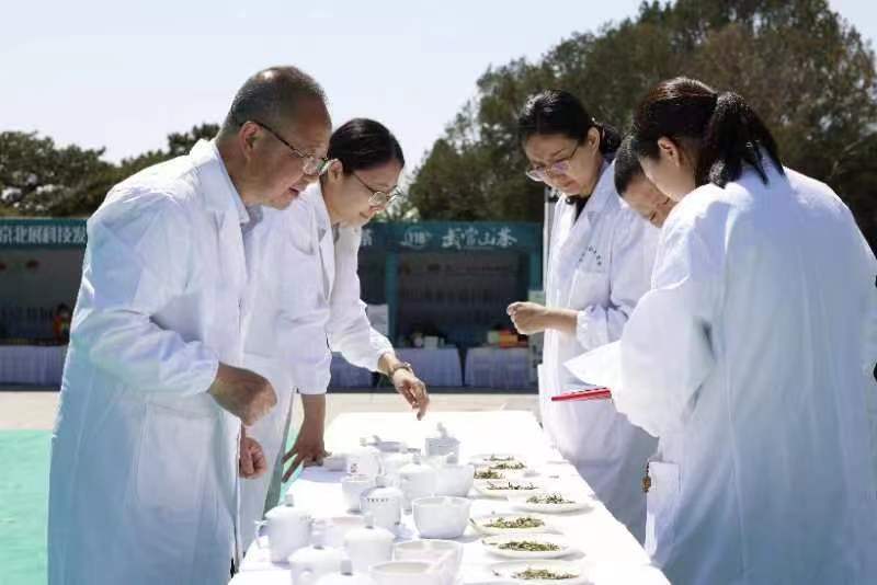 名茶竞秀 柘荣精品高山白茶斗茶大会完美收官