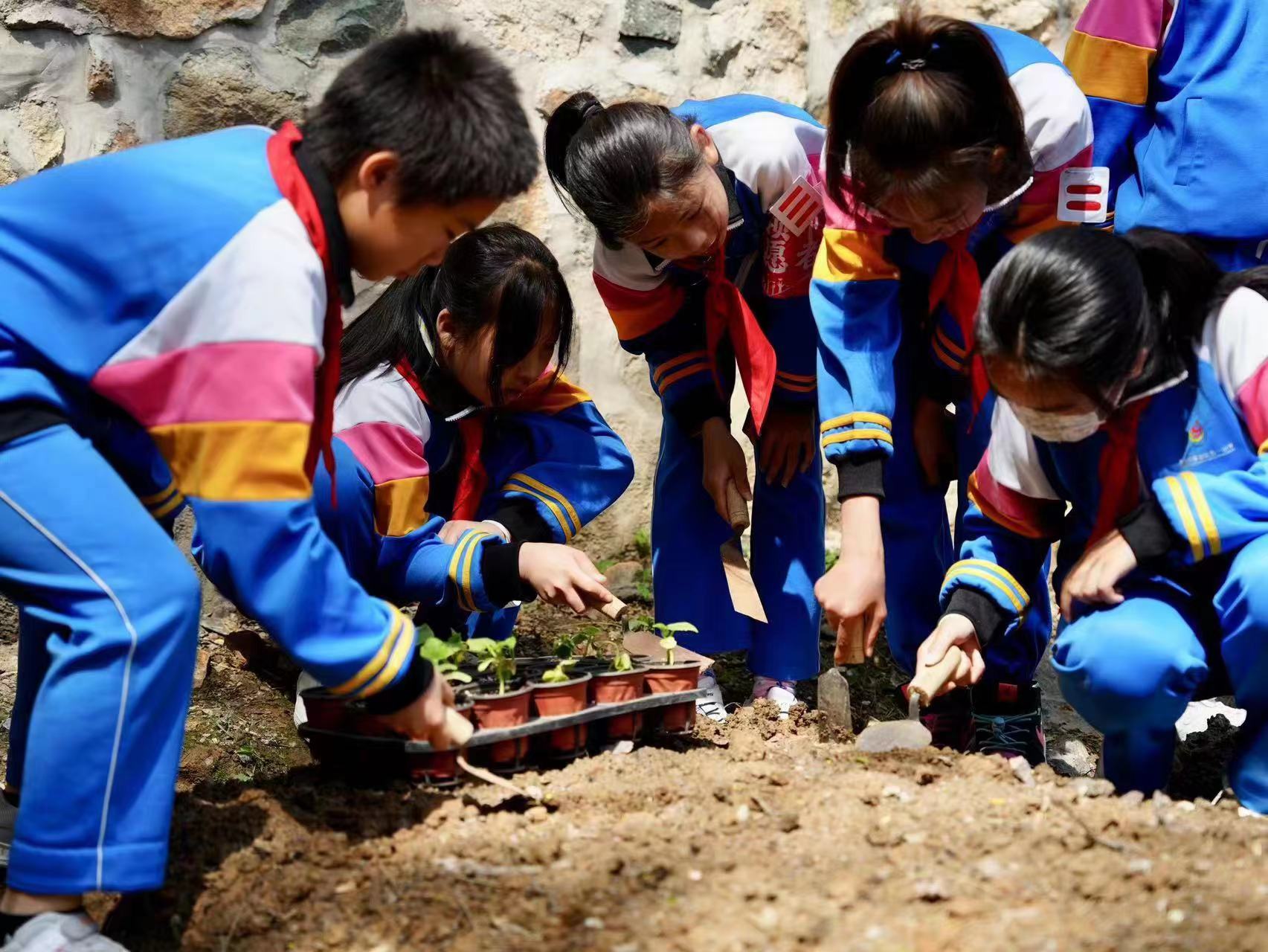 浇灌劳动之美 厚植家国情怀 香山公园“五一”劳动节举办红色文化特色宣传教育活动