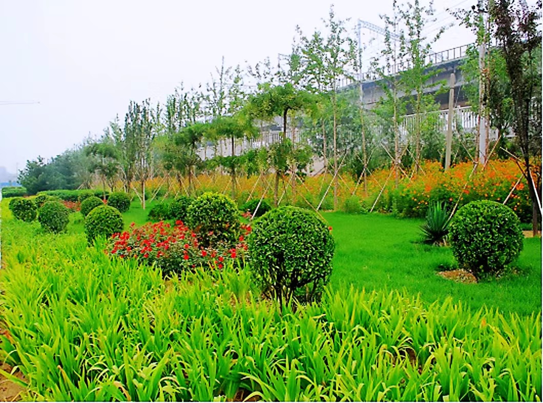 丰台推进铁路沿线“秀道”建设