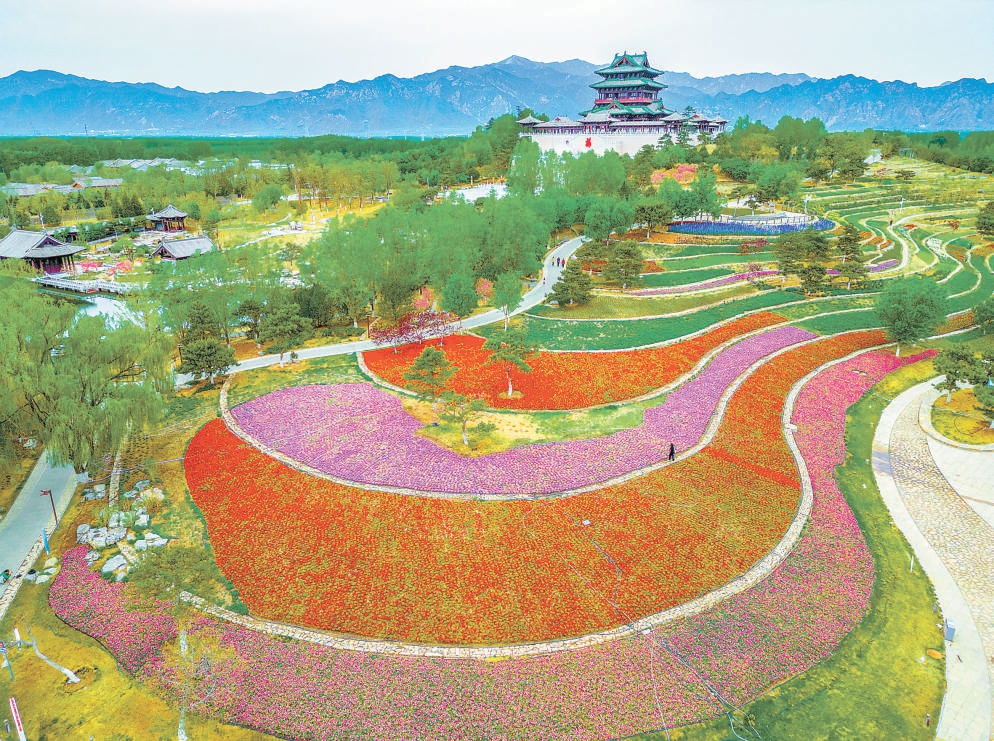 北京世园公园繁花似锦。