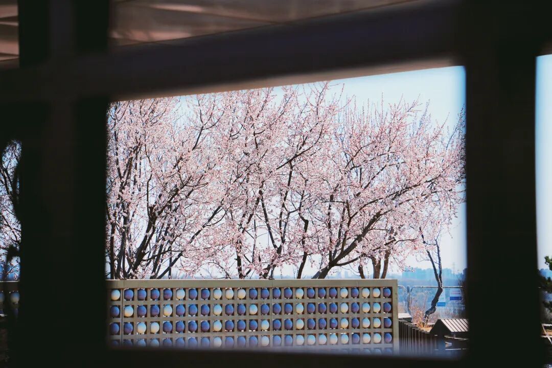 4月1日,永定河中堤恢复开放! 4月1日,永定河中堤恢复开放!