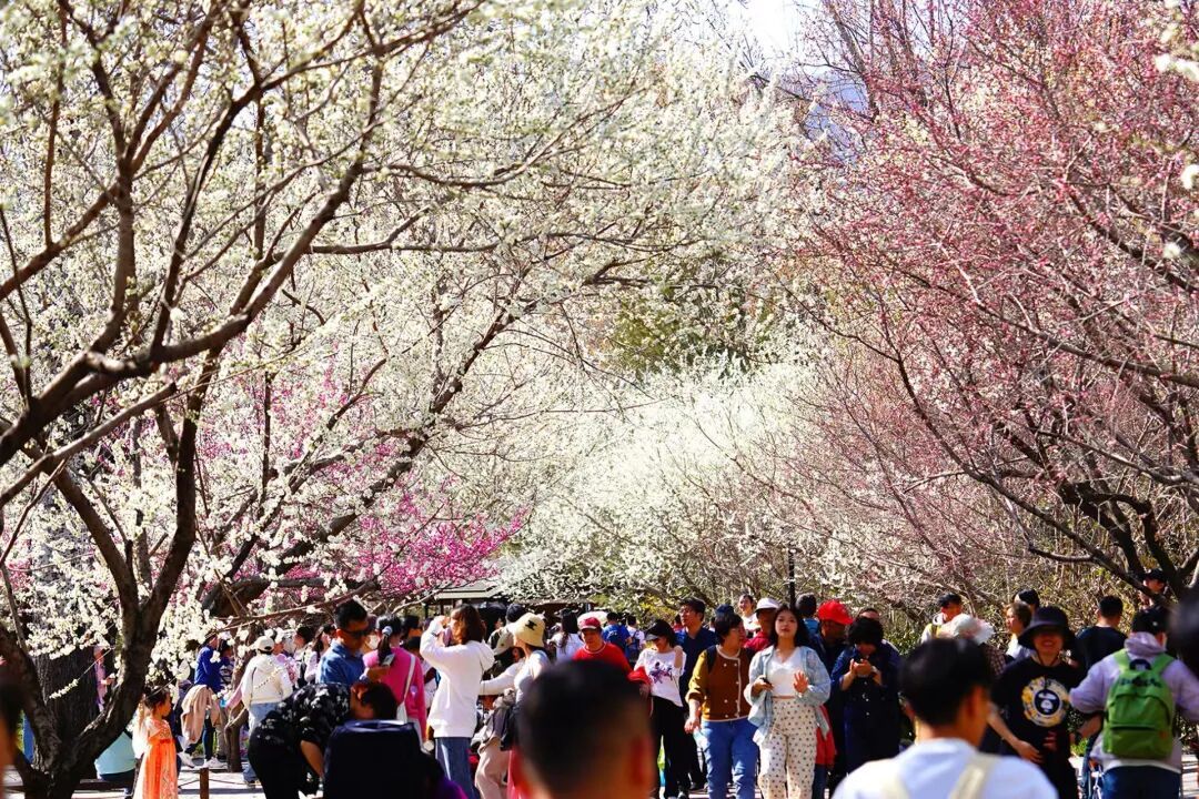 北京推出15条“最美园路”!点击收藏—— 北京推出15条“最美园路”!点击收藏——