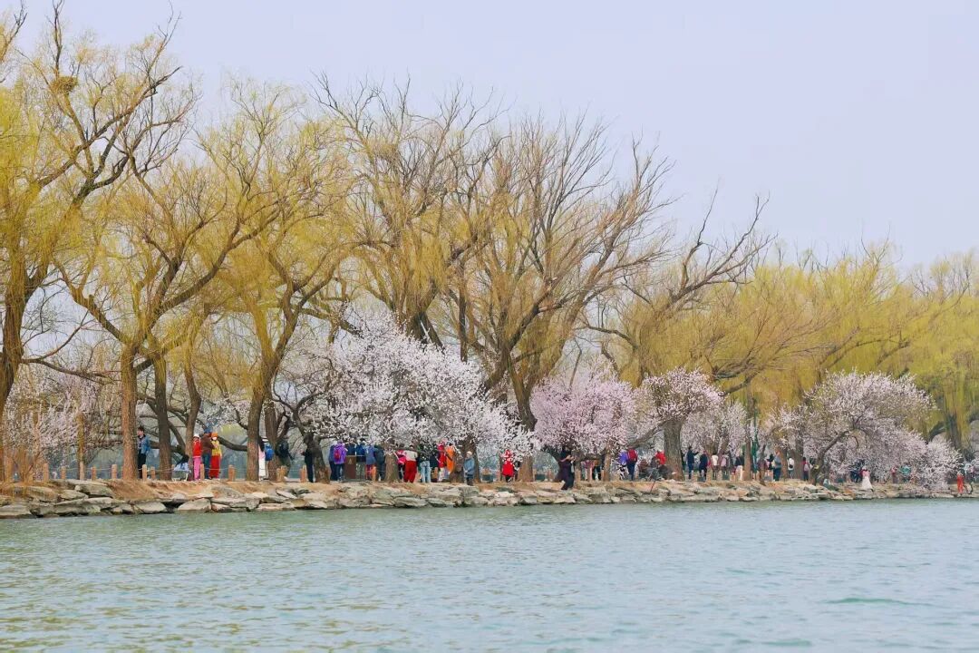 北京推出15条“最美园路”!点击收藏—— 北京推出15条“最美园路”!点击收藏——