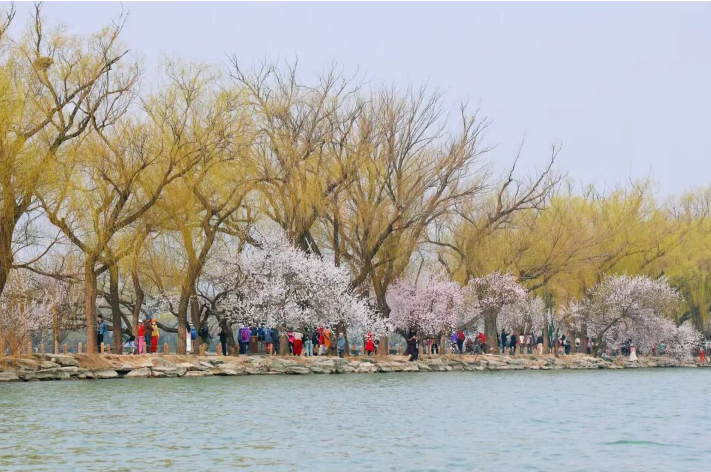 ScreenShot_2026-04-02_143648_419 ScreenShot_2026-04-02_143648_419