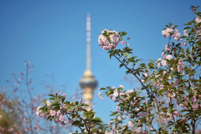 ScreenShot_2026-04-02_160925_541 ScreenShot_2026-04-02_160925_541