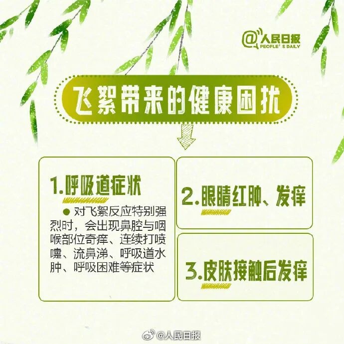 北京进入飞絮期 紧急提醒！