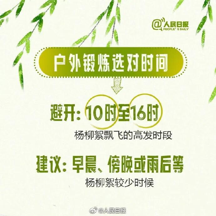 北京进入飞絮期 紧急提醒！