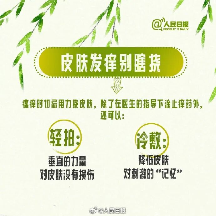 北京进入飞絮期 紧急提醒！