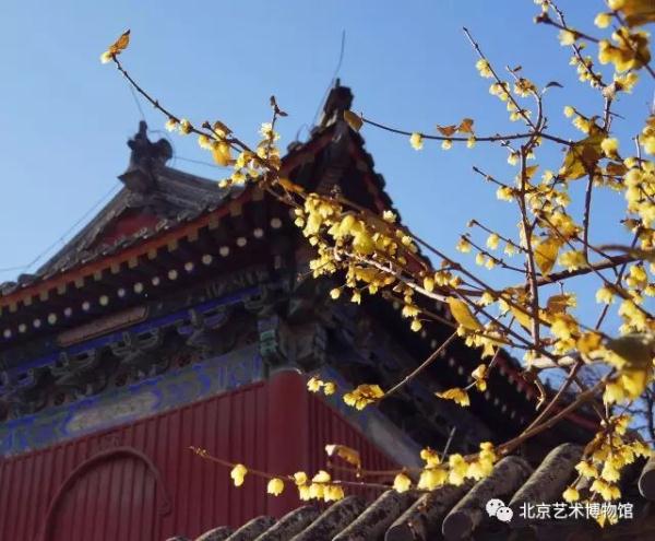 北京艺术博物馆.展览推介