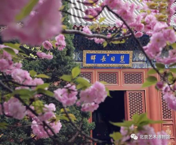 北京艺术博物馆.展览推介