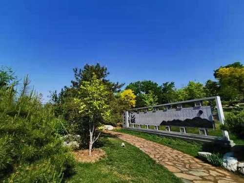 八宝山革命公墓1.jpg