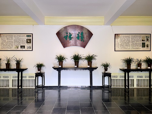 中山公园 兰展.jpg