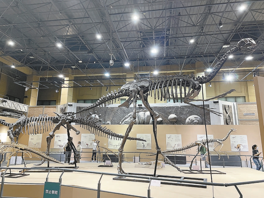 昨天，“龙行戈壁——内蒙古白垩纪恐龙展”在北京自然博物馆开展，50余件化石生动直观地展示恐龙的晚期演化。