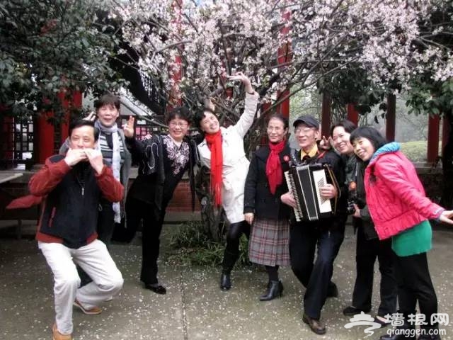 老北京过重阳节不得不说的习俗[墙根网]