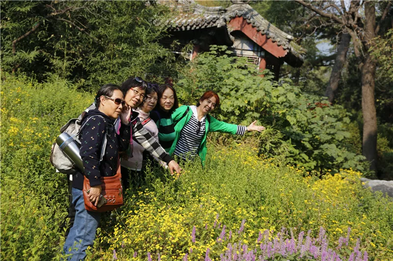 赏秋：你要的香山秋季游览攻略