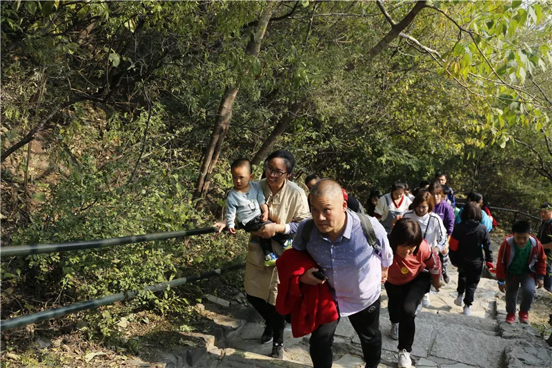 赏秋：你要的香山秋季游览攻略