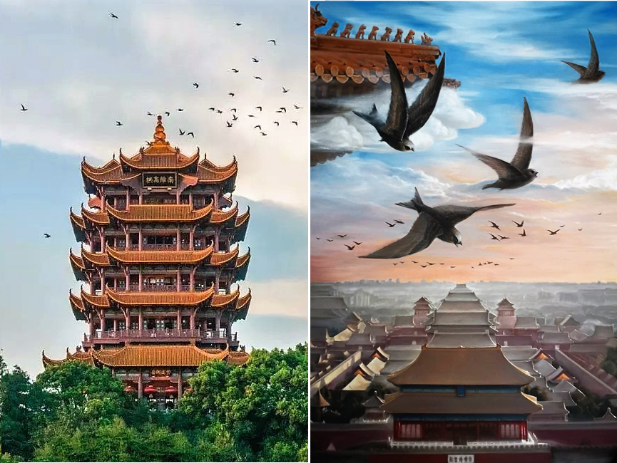 微信图片_20200517190616.jpg
