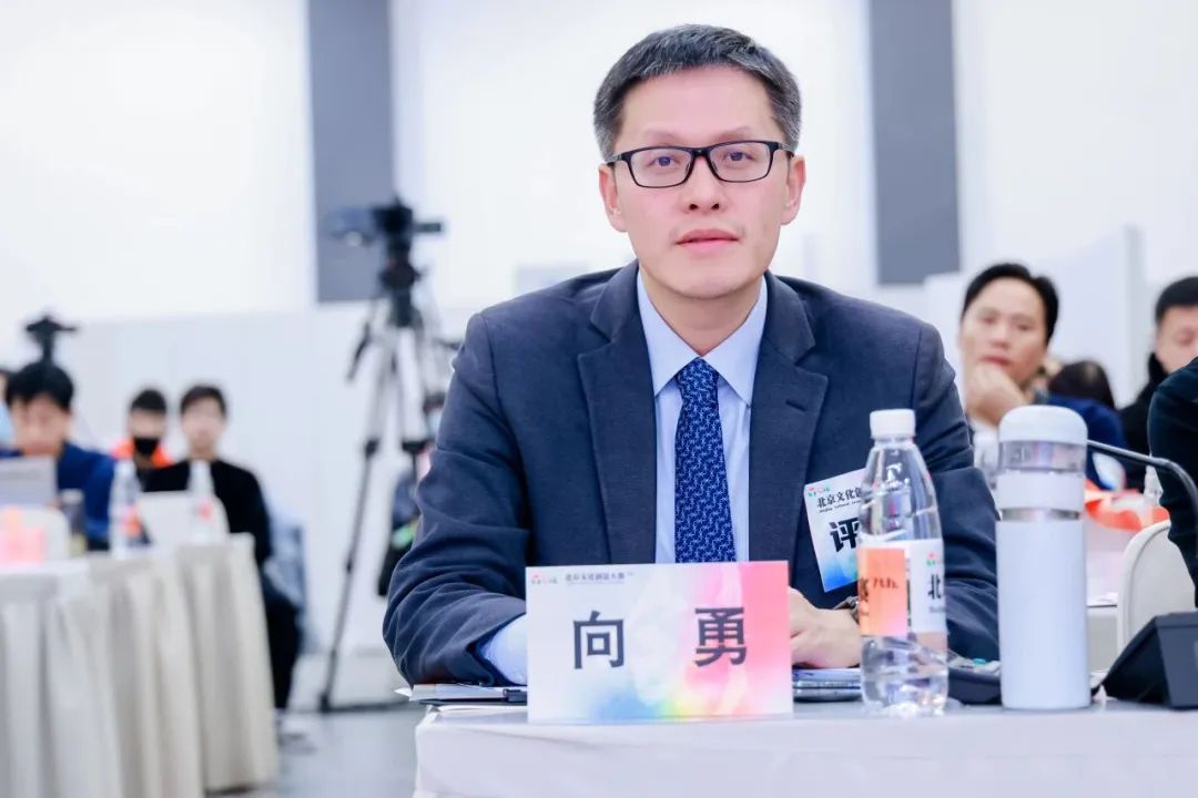 　北京大学文化产业研究院院长、教授 向勇