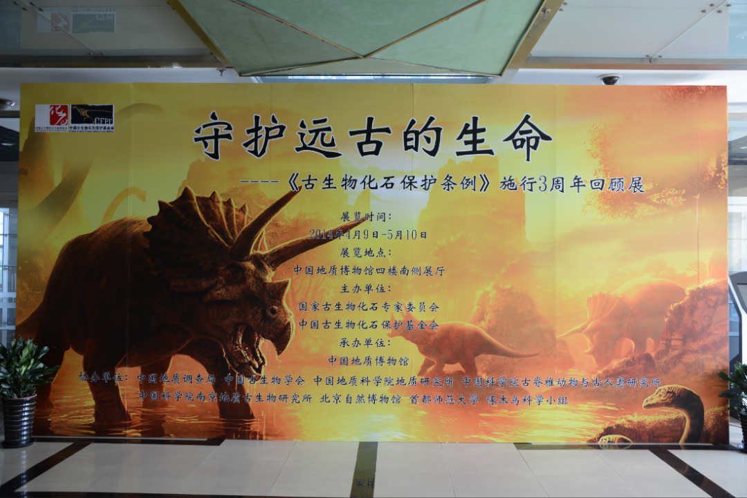 国家古生物化石专家委员会办公室