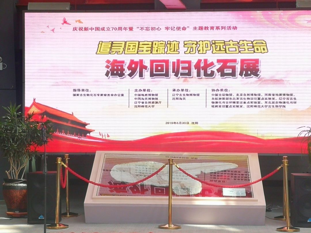 国家古生物化石专家委员会办公室