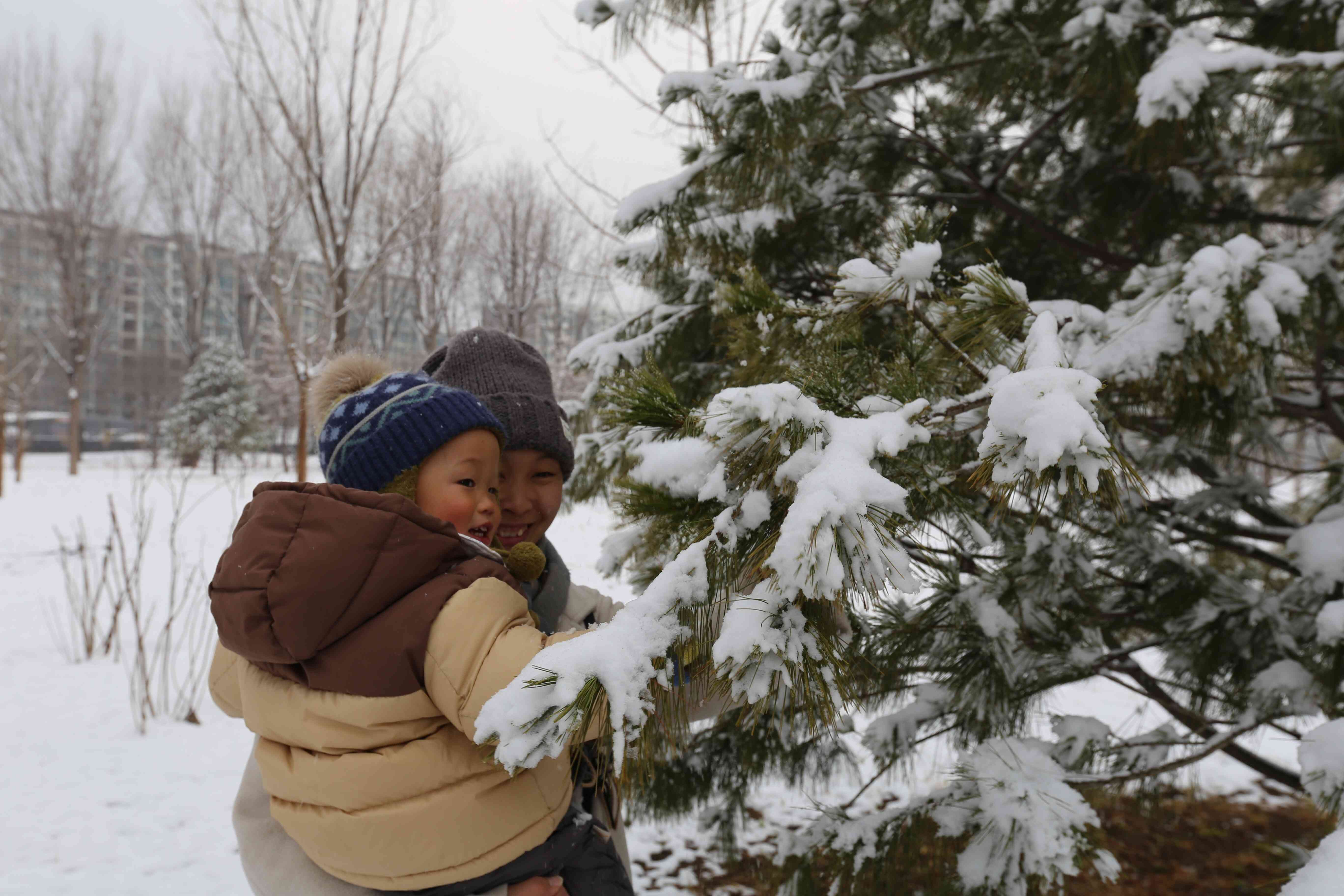 全龄乐活 观鸟寻趣！昌平这两个公园成为打卡新地标