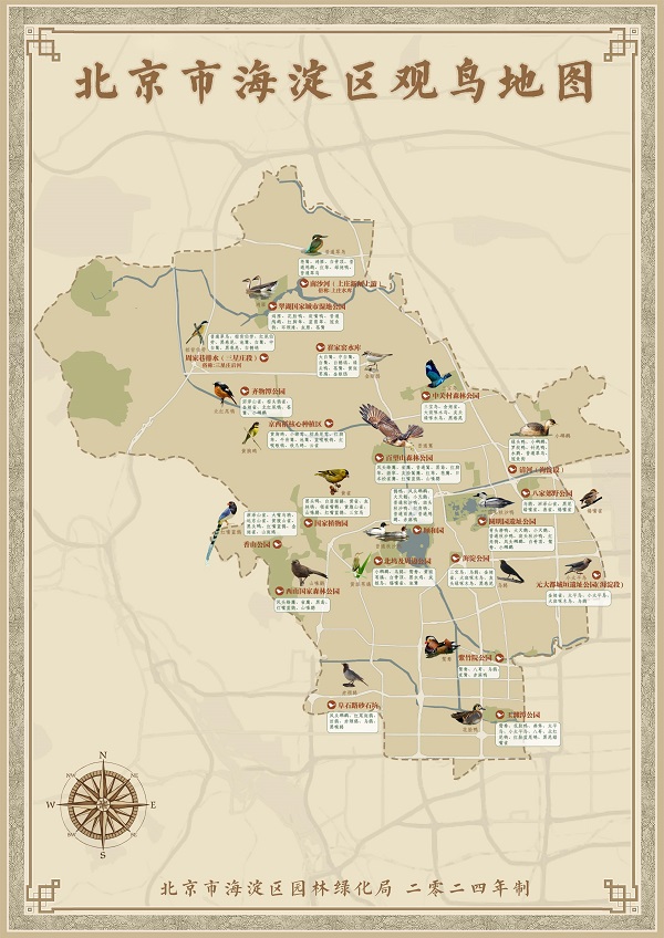 海淀观鸟地图发布 到21处观鸟点位邂逅鸟“明星”