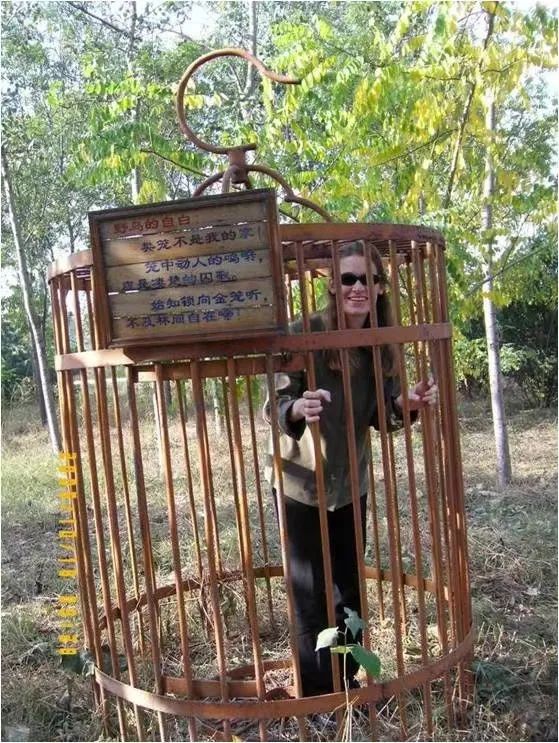 谁家鸟回来啦？这份北京春季观鸟指南请查收