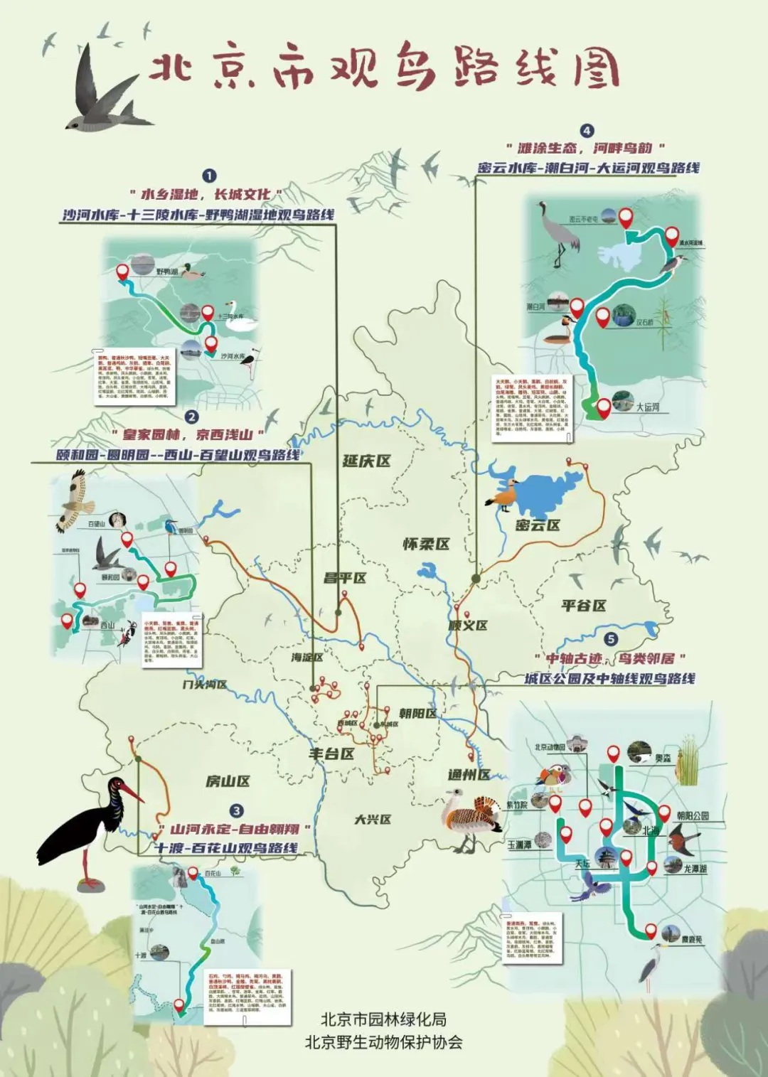 北京市观鸟路线图发布