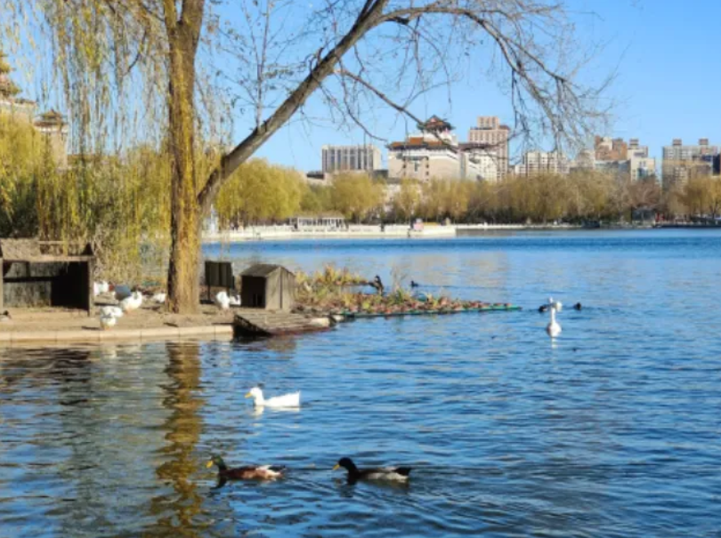 春日观鸟正当时！北京这些宝藏飞羽打卡地 快收藏