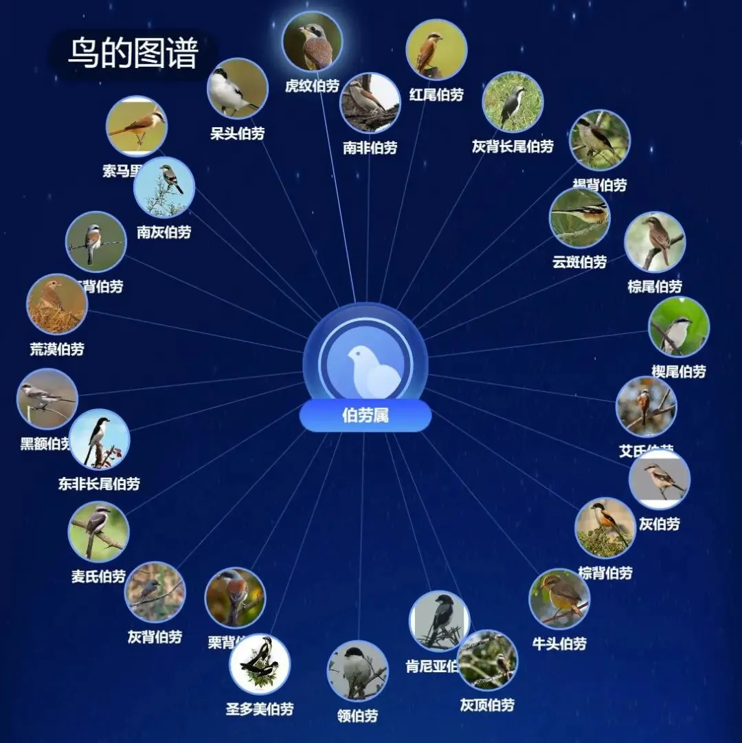 @李现 22个！北京还有这些“打鸟”胜地 附地图→