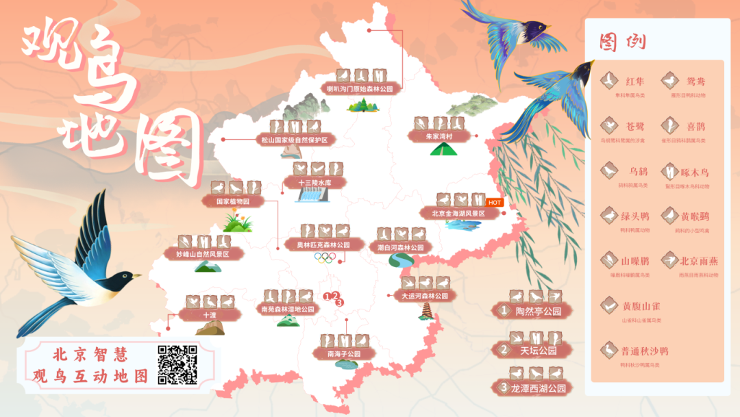 @李现 22个！北京还有这些“打鸟”胜地 附地图→