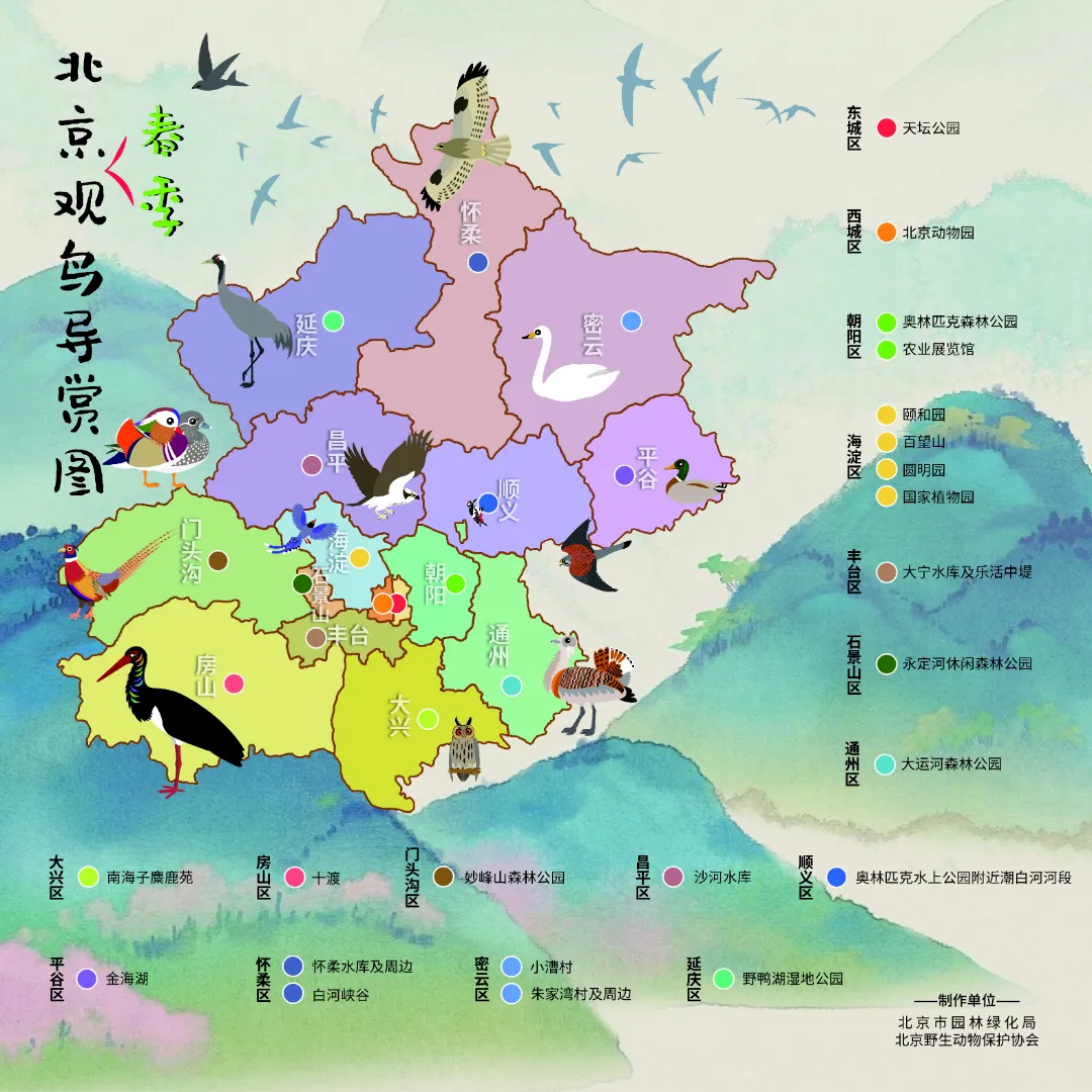 @李现 22个！北京还有这些“打鸟”胜地 附地图→