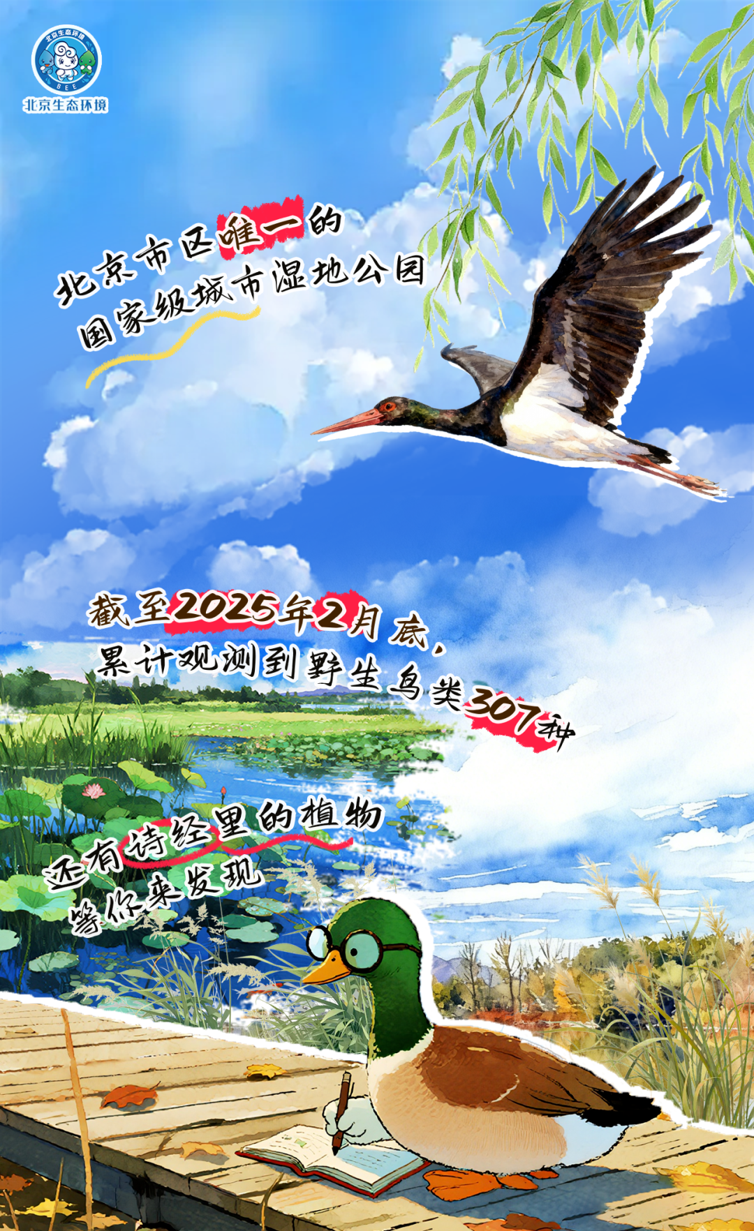 观鸟季倒计时（一） 现在就出发！