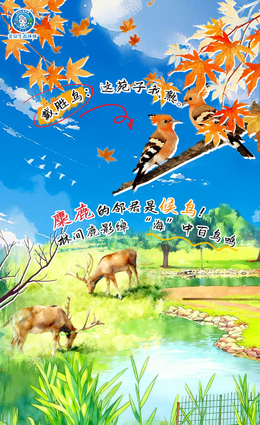 观鸟季倒计时（一） 现在就出发！