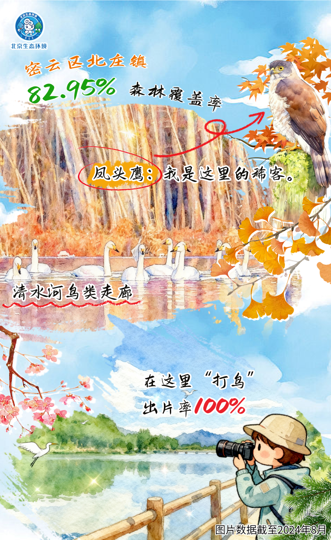 观鸟季倒计时（一） 现在就出发！