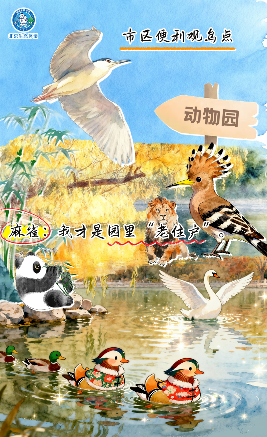 观鸟季倒计时（三） 一起去“打鸟”吧