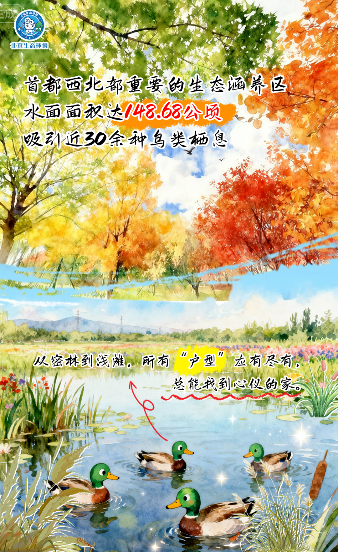 观鸟季倒计时（三） 一起去“打鸟”吧