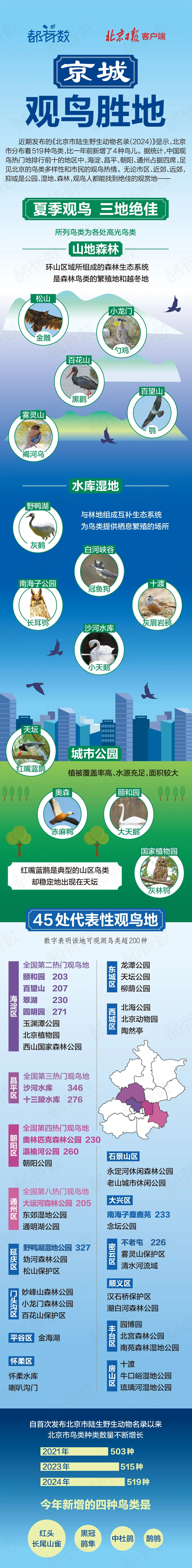 最佳观鸟季已至！北京这些地点适合观鸟（建议收藏）