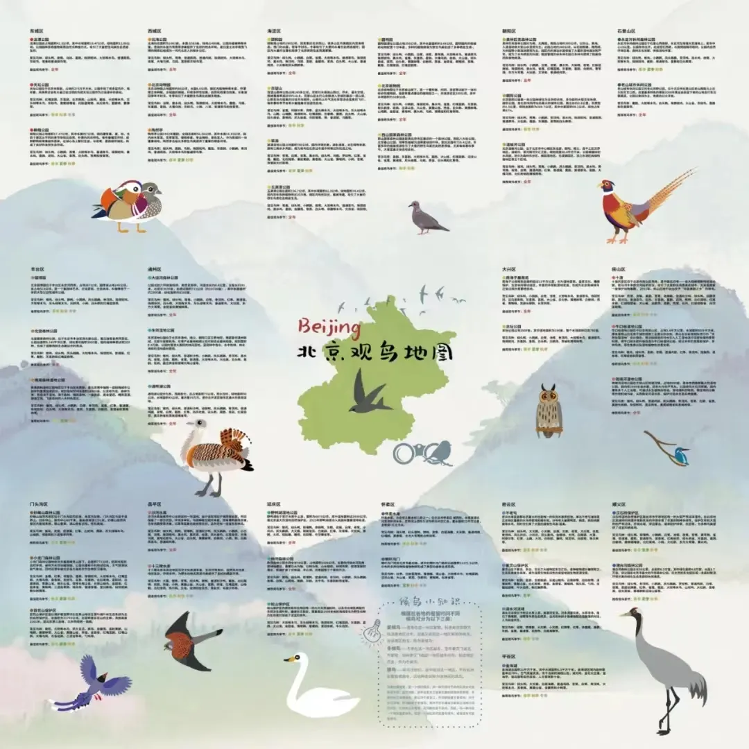 北京的爱鸟周 到什么地方去观鸟？