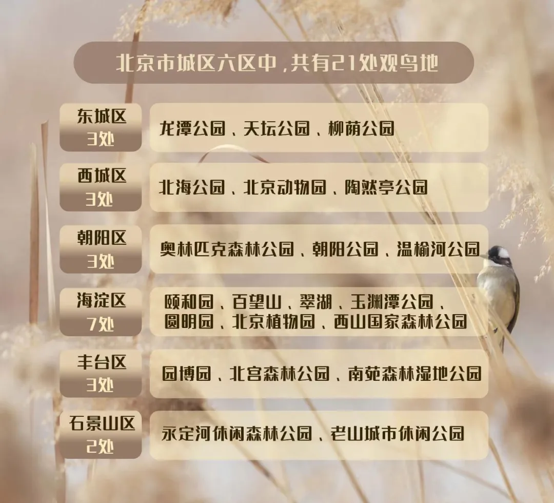北京的爱鸟周 到什么地方去观鸟？