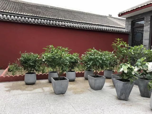 体验休闲|来延庆井庄，享清凉时光