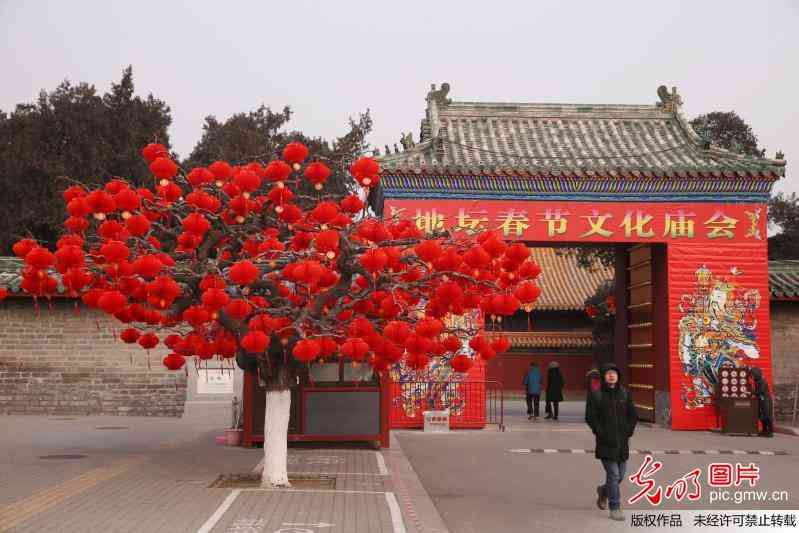 北京地坛公园“年味”浓