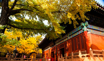 红螺寺秋景 岳连祥摄