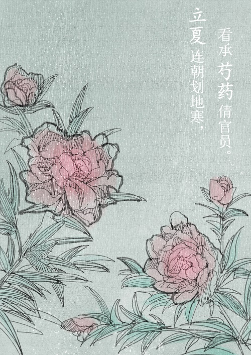 徐子星-立夏.jpg