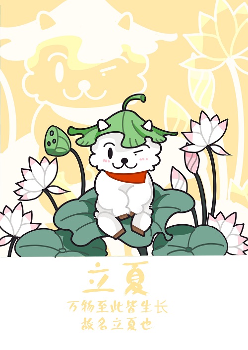 张晓婷.jpg