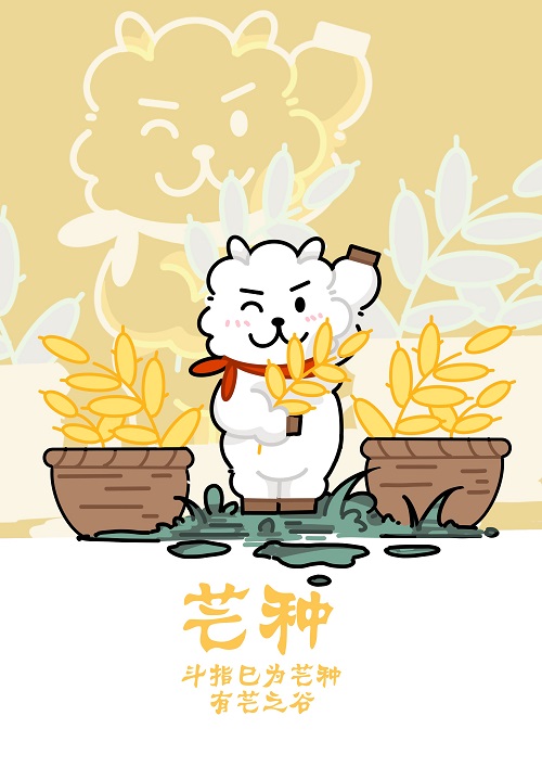 张晓婷.jpg